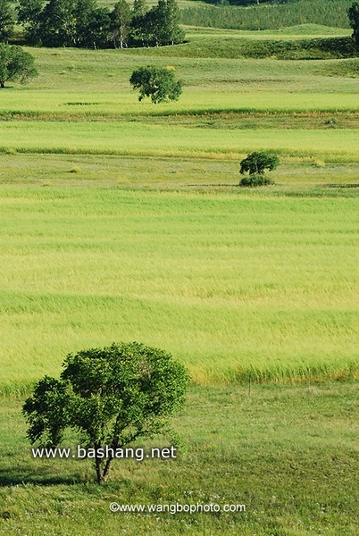 木蘭圍場旅游攻略圖片