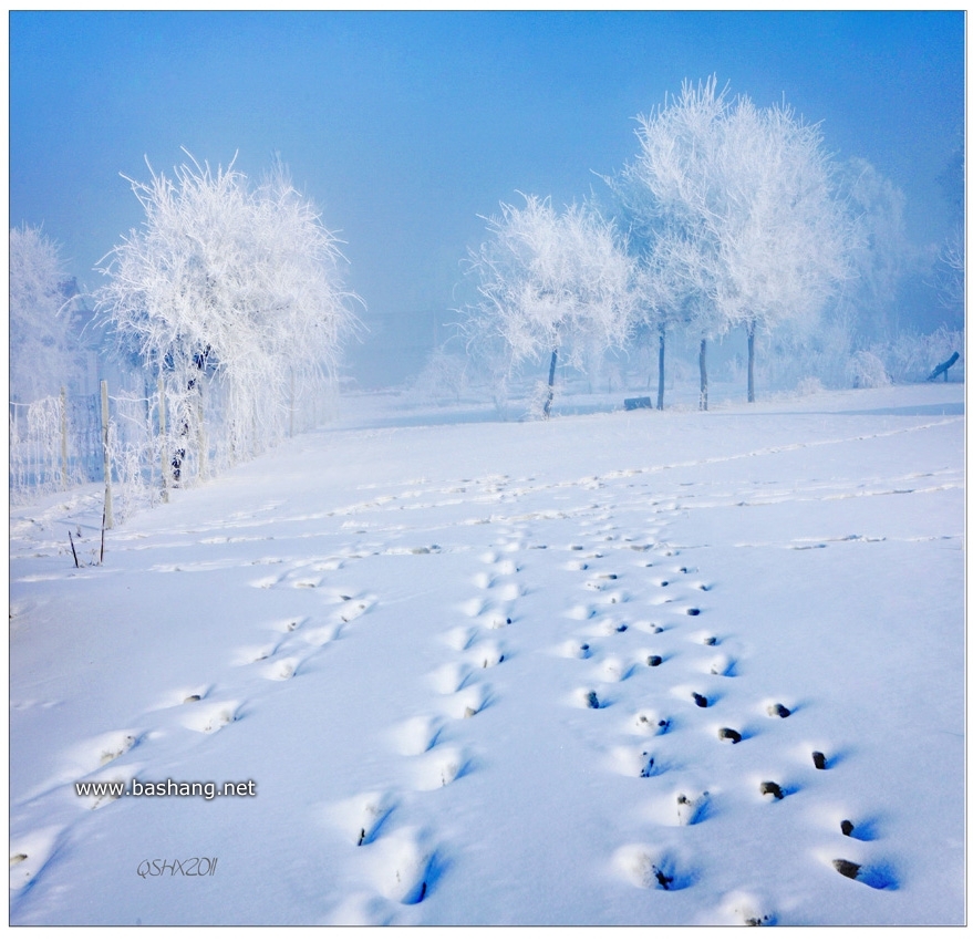 拒絕裸奔!木蘭圍場(chǎng)冬季外拍相機(jī)保暖技巧 拒絕裸奔!木蘭圍場(chǎng)冬季外拍相機(jī)保暖技巧