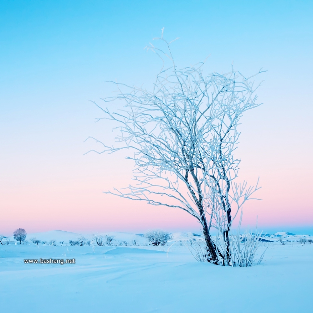 拒絕裸奔!木蘭圍場(chǎng)冬季外拍相機(jī)保暖技巧 拒絕裸奔!木蘭圍場(chǎng)冬季外拍相機(jī)保暖技巧