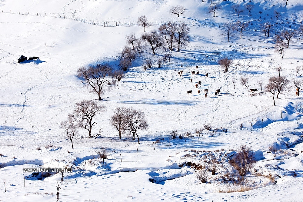 拒絕裸奔!木蘭圍場(chǎng)冬季外拍相機(jī)保暖技巧 拒絕裸奔!木蘭圍場(chǎng)冬季外拍相機(jī)保暖技巧