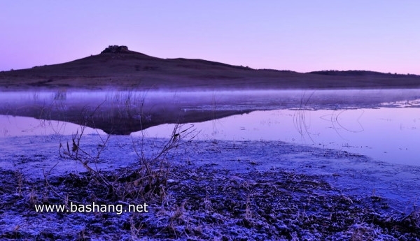 紅山軍馬場圖片