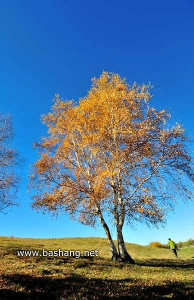紅山軍馬場景點圖片