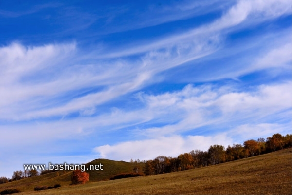 紅山軍馬場旅游攻略圖片
