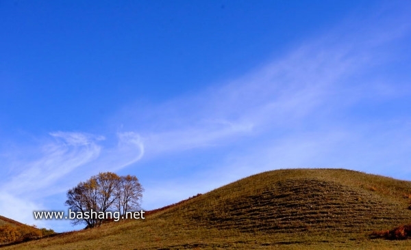 紅山軍馬場圖片