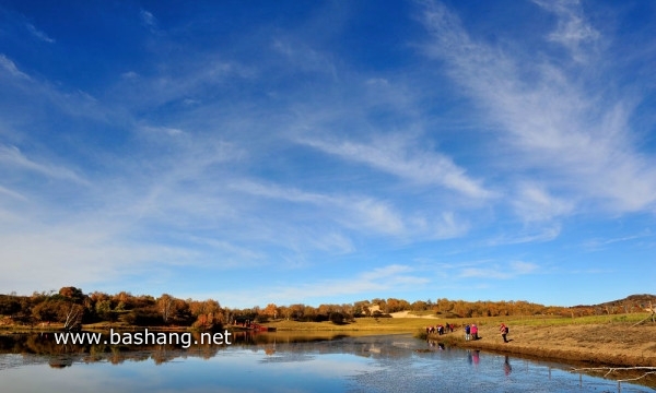 紅山軍馬場自助游圖片