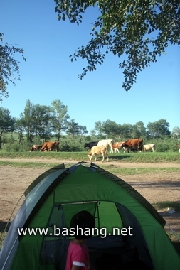 夏季的豐寧壩上