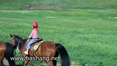 夏季的豐寧壩上