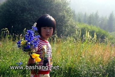 夏季的豐寧壩上