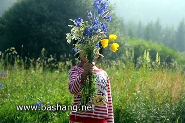 夏季的豐寧壩上