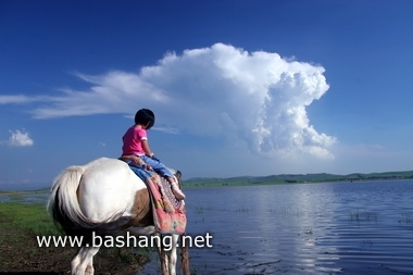 夏季的豐寧壩上