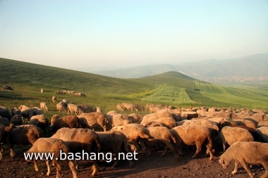 夏季的豐寧壩上