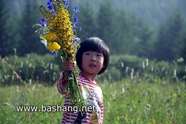 夏季的豐寧壩上