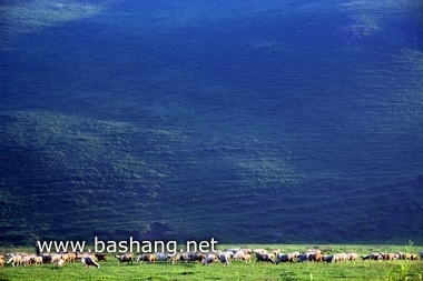 夏季的豐寧壩上