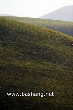 夏季的豐寧壩上