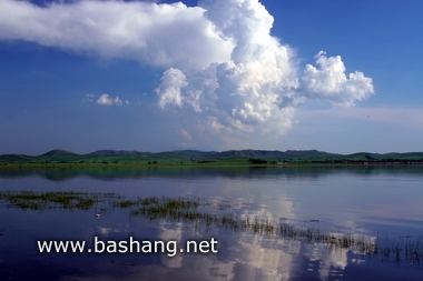 夏季的豐寧壩上