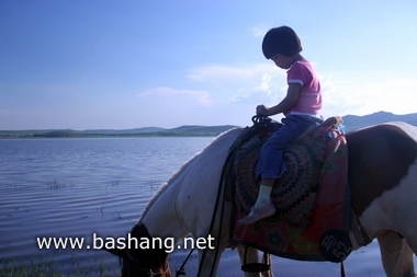 夏季的豐寧壩上