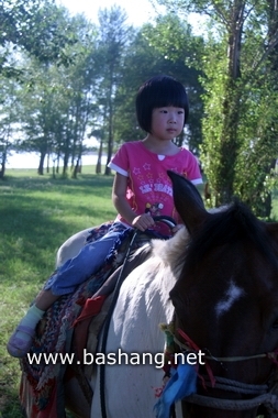 夏季的豐寧壩上