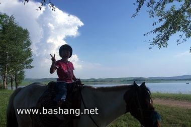 夏季的豐寧壩上