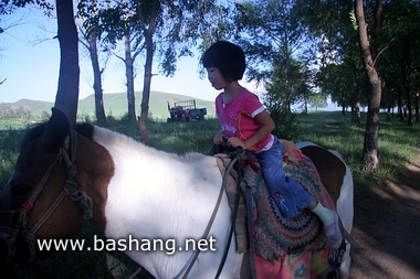 夏季的豐寧壩上