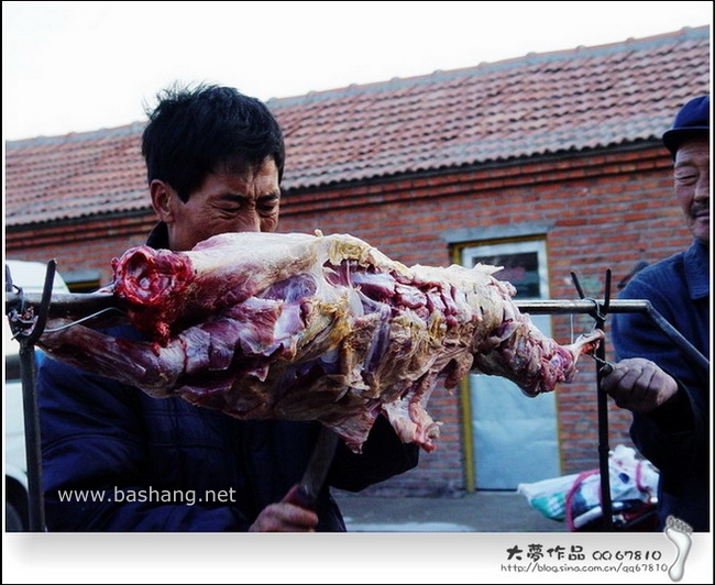 五一壩上自助行