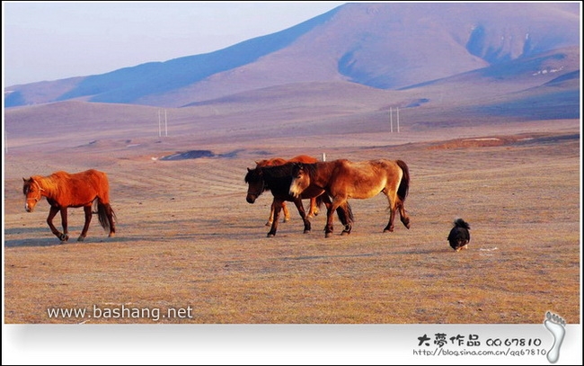五一壩上自助行