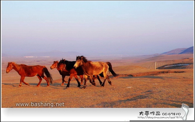 五一壩上自助行