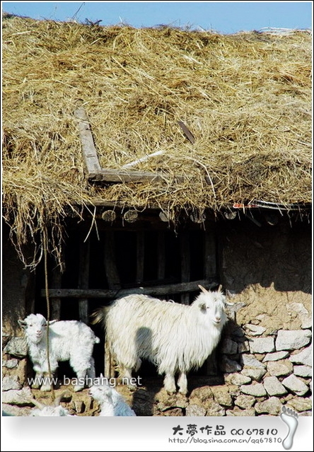 五一壩上自助行