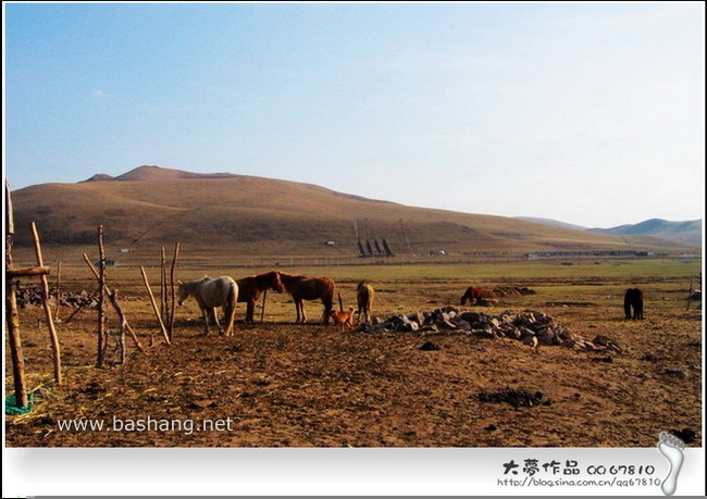 五一壩上自助行