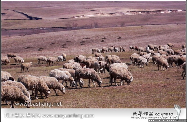 五一壩上自助行