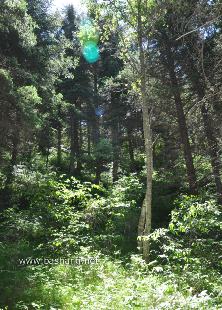 豐寧壩上兩日游及自駕攻略