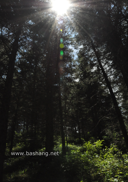 豐寧壩上兩日游及自駕攻略