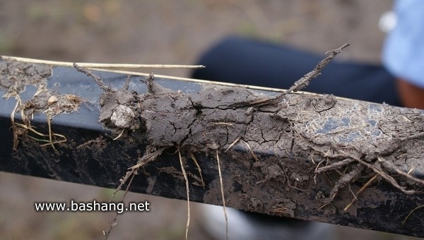 張北自助游圖片