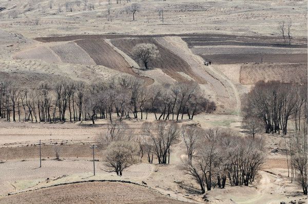 張北自助游圖片
