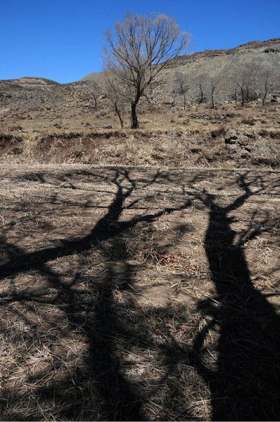 張北自助游圖片