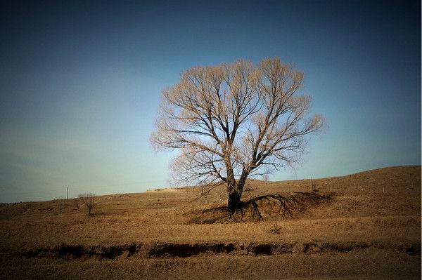 張北自助游圖片