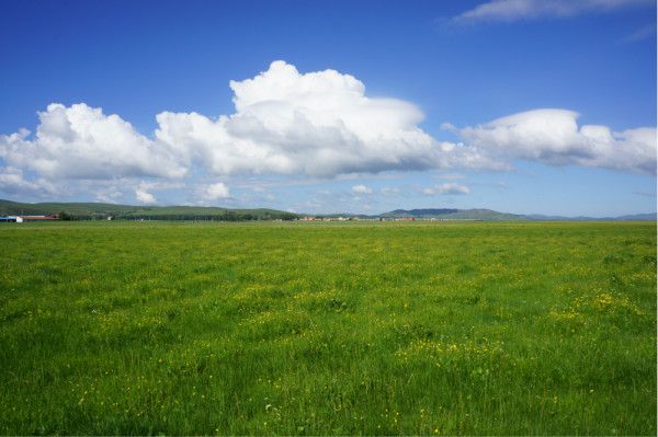 京北第一草原 豐寧壩上---大灘鎮(zhèn)掠影