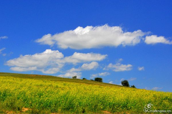 沽源自助游圖片