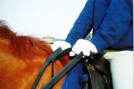 馬術基礎握韁方法
