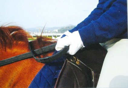 馬術基礎握韁方法