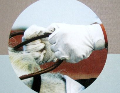 馬術基礎握韁方法