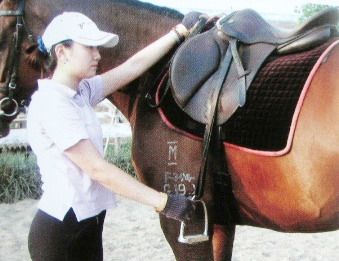 馬術基礎上馬