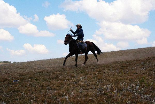 豐寧壩上草原騎馬