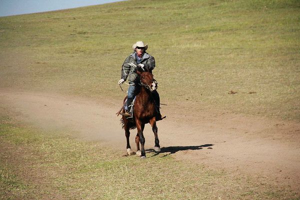 豐寧壩上草原騎馬