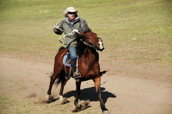 豐寧壩上草原騎馬