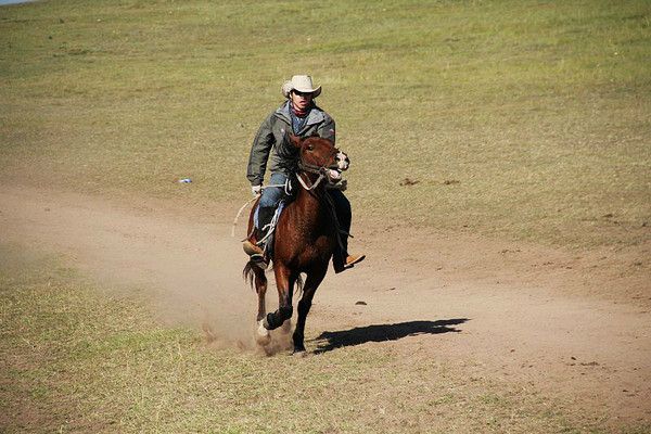 豐寧壩上草原騎馬