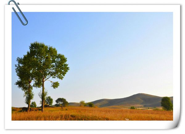 豐寧壩上旅游攻略圖片