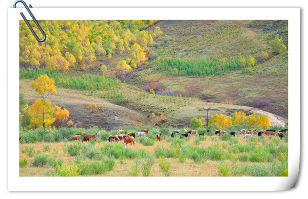 豐寧壩上旅游攻略圖片