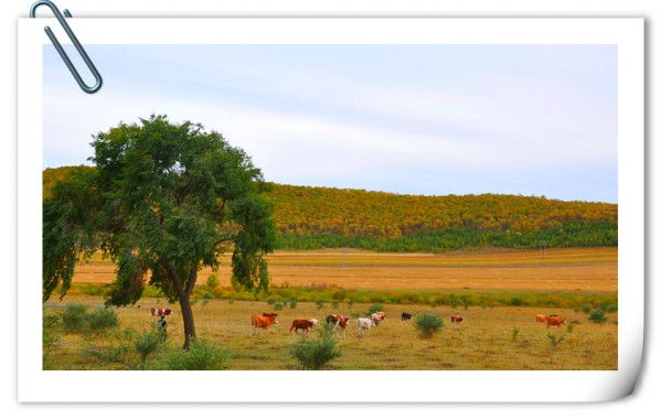 豐寧壩上旅游攻略圖片