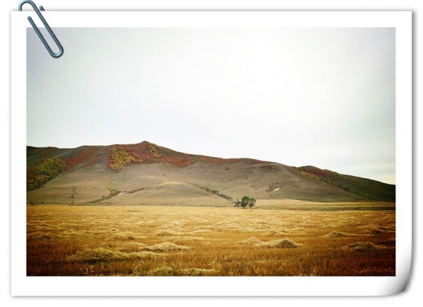 豐寧壩上旅游攻略圖片