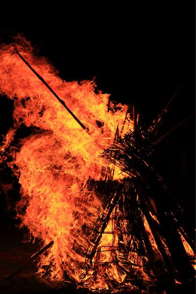 6月豐寧壩上騎馬